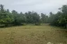 Land for sale in Sam Roi Yot, Prachuap Khiri Khan
