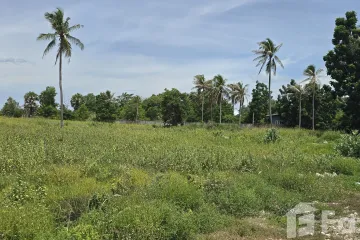 Land for sale in Pak Nam Pran, Prachuap Khiri Khan