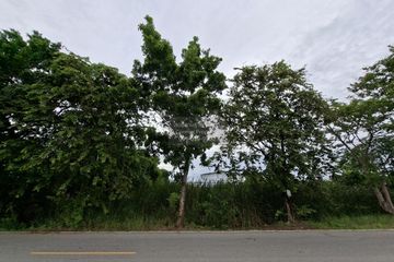 1 Bedroom Land for sale in Khu Bang Luang, Pathum Thani