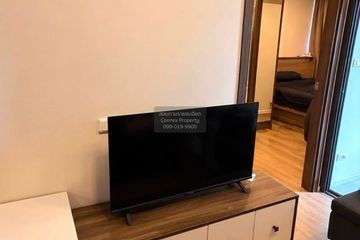 1 Bedroom Condo for rent in The Nest Sukhumvit 64, Bang Chak, Bangkok near BTS Punnawithi