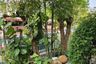 3 Bedroom House for sale in Pruek Lada Phutthasakorn, Suan Luang, Samut Sakhon