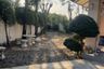 3 Bedroom House for sale in Pruek Lada Phutthasakorn, Suan Luang, Samut Sakhon
