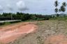 1 Bedroom Land for sale in Mai Khao, Phuket