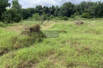 1 Bedroom Land for sale in Mai Khao, Phuket