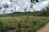 1 Bedroom Land for sale in Si Sunthon, Phuket