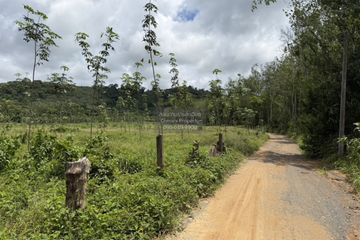 1 Bedroom Land for sale in Si Sunthon, Phuket