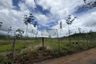 1 Bedroom Land for sale in Si Sunthon, Phuket