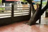 3 Bedroom House for sale in Saranrom Village, Nawamin, Bangkok