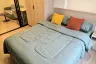 1 Bedroom Condo for rent in THE BASE Bukit, Wichit, Phuket