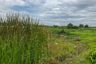 Land for sale in Sam Phraya, Phetchaburi