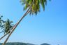 2 Bedroom Villa for sale in Sala Dan, Krabi