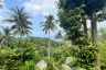 Land for sale in Ko Pha-ngan, Surat Thani