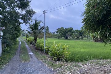 Land for sale in Sop Mae Kha, Chiang Mai