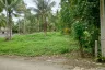 Land for sale in Bang Saphan, Prachuap Khiri Khan