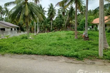 Land for sale in Bang Saphan, Prachuap Khiri Khan