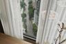 1 Bedroom Condo for rent in Life One Wireless, Lumpini, Bangkok near BTS Ploen Chit