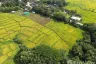 Land for sale in On Klang, Chiang Mai