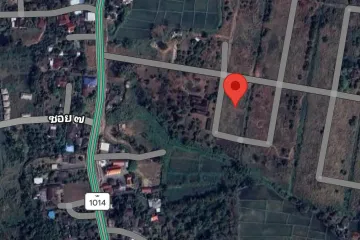 Land for sale in Pa Pong, Chiang Mai