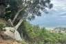 Land for sale in Maret, Surat Thani