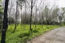 Land for sale in Bang Muang, Phang Nga