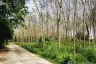 Land for sale in Bang Muang, Phang Nga