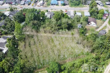 Land for sale in Bang Muang, Phang Nga