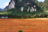 Land for sale in Khao Khram, Krabi