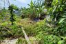 Land for sale in Nong Khaem, Bangkok