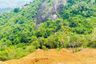 Land for sale in Maret, Surat Thani