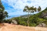 Land for sale in Maret, Surat Thani