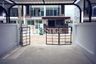 2 Bedroom House for rent in Nong Prue, Chonburi