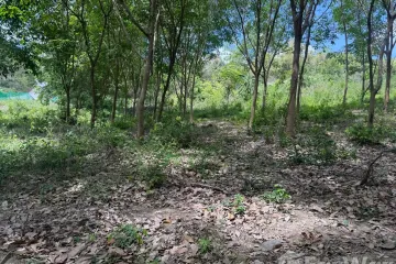 Land for sale in Bo Phut, Surat Thani
