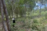 Land for sale in Bo Phut, Surat Thani