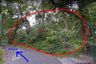 Land for sale in Choeng Thale, Phuket