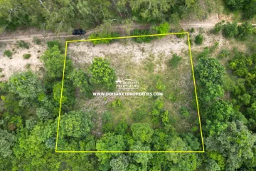 Land for sale in Nong Yaeng, Chiang Mai