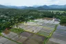 Land for sale in Nong Yaeng, Chiang Mai