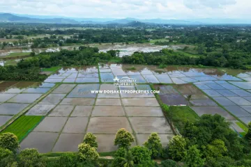 Land for sale in Nong Yaeng, Chiang Mai