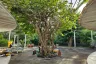 2 Bedroom House for sale in Khao Mai Kaeo, Chonburi