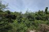 1 Bedroom Land for sale in Bang Sai, Phra Nakhon Si Ayutthaya