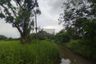 1 Bedroom Land for sale in Lam Phak Chi, Bangkok