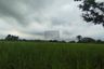 1 Bedroom Land for sale in Lam Phak Chi, Bangkok