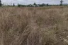 Land for sale in Hin Lek Fai, Prachuap Khiri Khan
