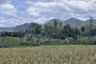 Land for sale in Hin Lek Fai, Prachuap Khiri Khan