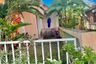 2 Bedroom Townhouse for sale in Baan Suetrong Rangsit khlong 3, Bueng Yitho, Pathum Thani