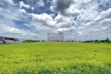 1 Bedroom Land for sale in Thai Ko, Pathum Thani