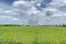 1 Bedroom Land for sale in Thai Ko, Pathum Thani