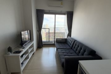 1 Bedroom Condo for rent in Whizdom Connect Sukhumvit, Bang Chak, Bangkok near BTS Punnawithi