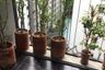 1 Bedroom Condo for rent in A Space Asoke - Ratchada, Din Daeng, Bangkok near MRT Phra Ram 9