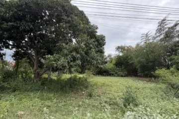 Land for sale in Sam Roi Yot, Prachuap Khiri Khan