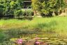 3 Bedroom House for sale in Nong Phueng, Chiang Mai